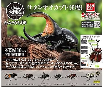 ガシャポン　いきもの大図鑑　かぶとむし くわがた だんごむし セット ガシャポン いきもの大図鑑 かぶとむし くわがた だんごむし